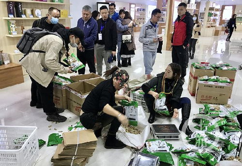 网络名人看秀山 互联网打通农产品进城“最初一公里”