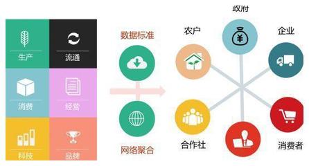 农商项目 互联网销售农产品，实现农业与商业的完美结合